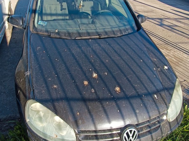 Syndyk sprzeda samochód osobowy VOLKSWAGEN GOLF V 1.9 TDi